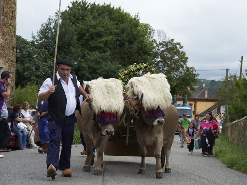 2-Asturias-carrozas-Valdesoto