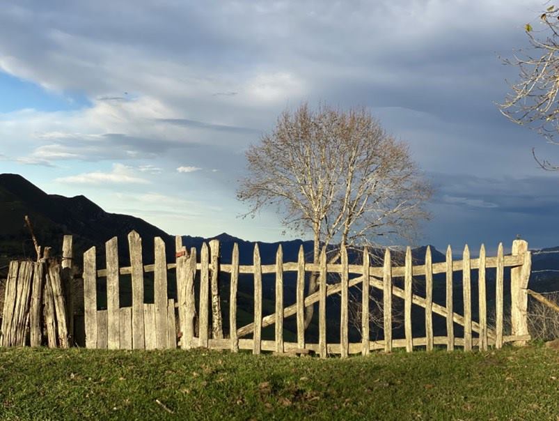 2-Asturias-el-bosque-de-cea